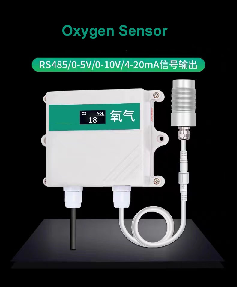 oxygen sensor